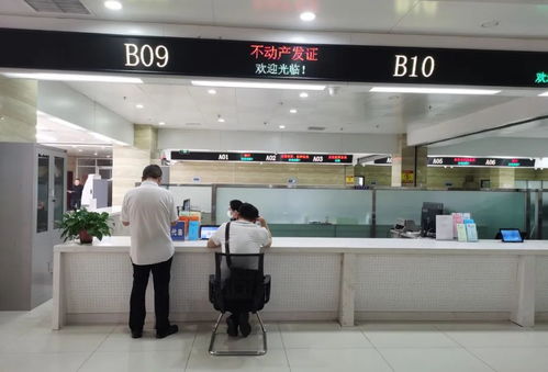 辛集市1單位1個人榮膺先進集體與先進工作者稱號，廣州勞務服務合作成果顯著